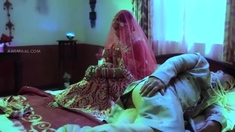 Desi Indian Wife Illegal Affair with Husband s Friend