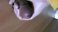 Korean Amateur Sucks Cock in Bathroom Gloryhole