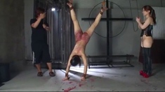 Asian Japanese BustyGirl BDSM