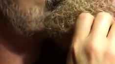 Hairy bears passionate kissing