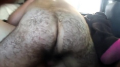 Sex in public cu maimuta